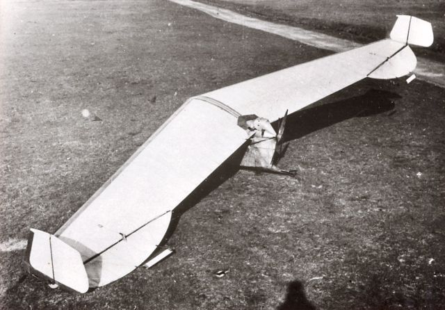 Storch V_ A. Lippisch (1929)