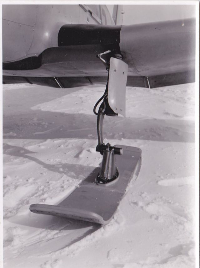 arado-stossdaempfer-1