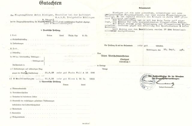 1929-09-20 Anton Riediger Gutachten (HR)